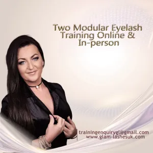 2 Modular Online Training