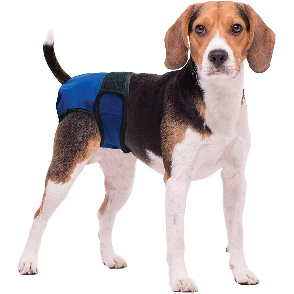 Four Paws Wee-Wee Diaper Garment