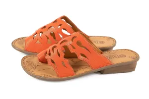 Tsonga Isivina Apricot