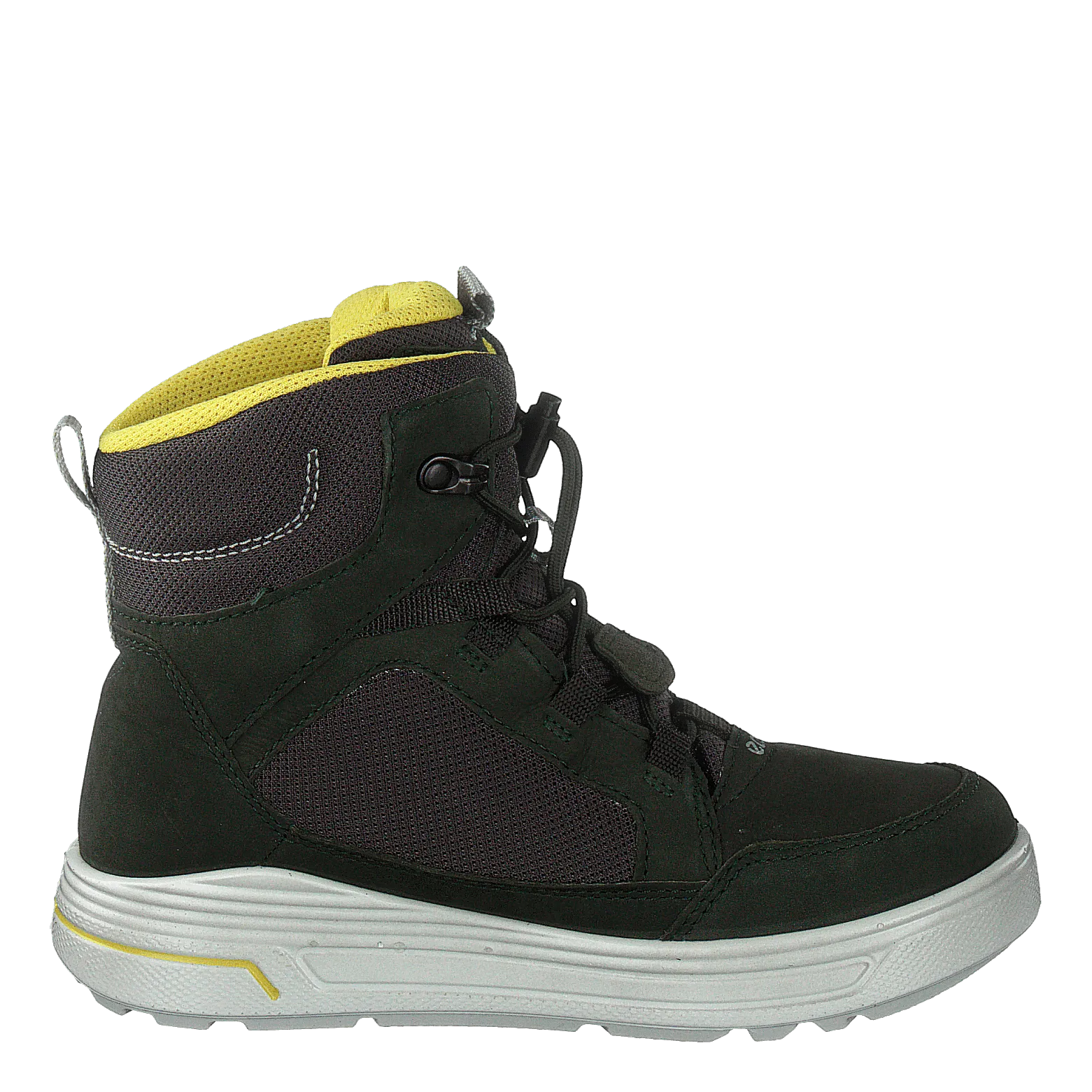 Urban Snowboarder Deep Forest