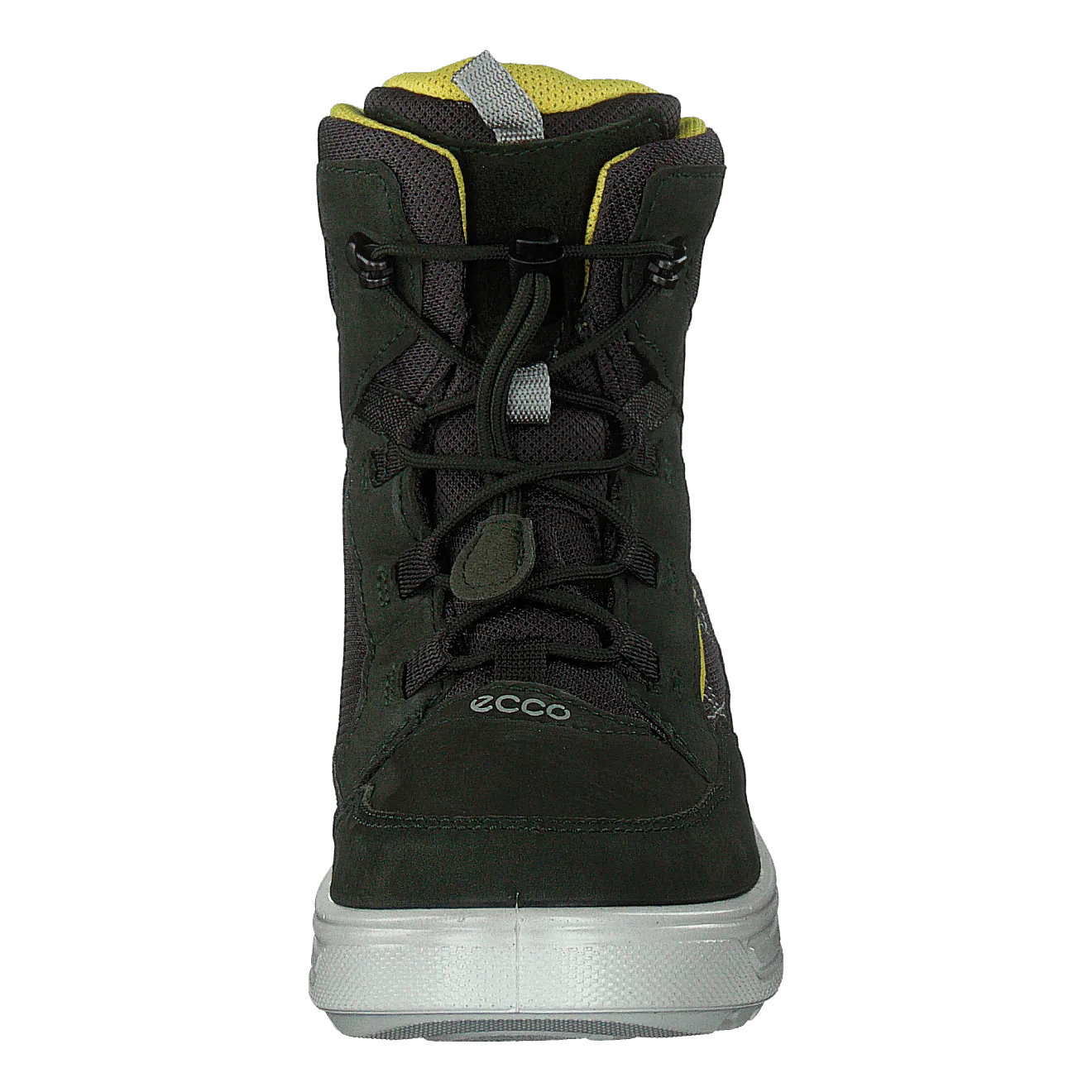Urban Snowboarder Deep Forest
