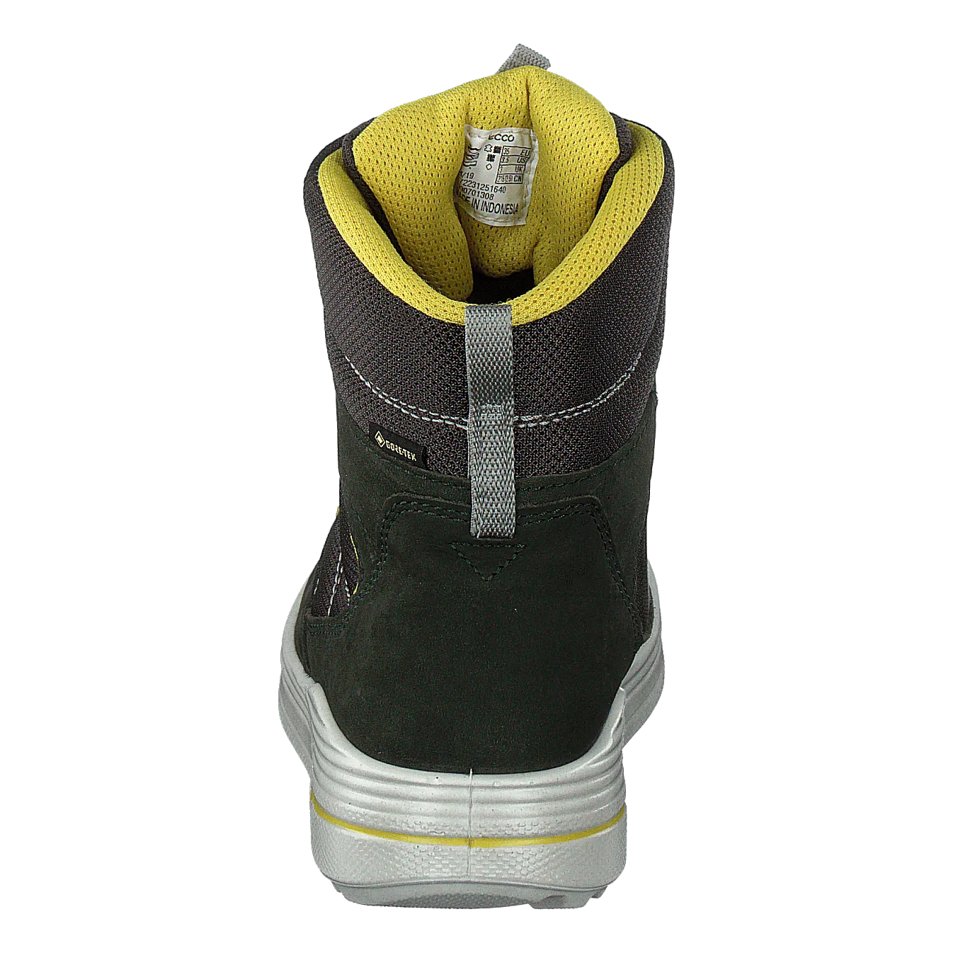 Urban Snowboarder Deep Forest