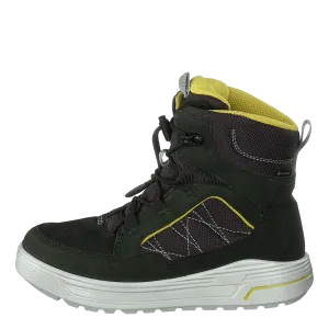 Urban Snowboarder Deep Forest