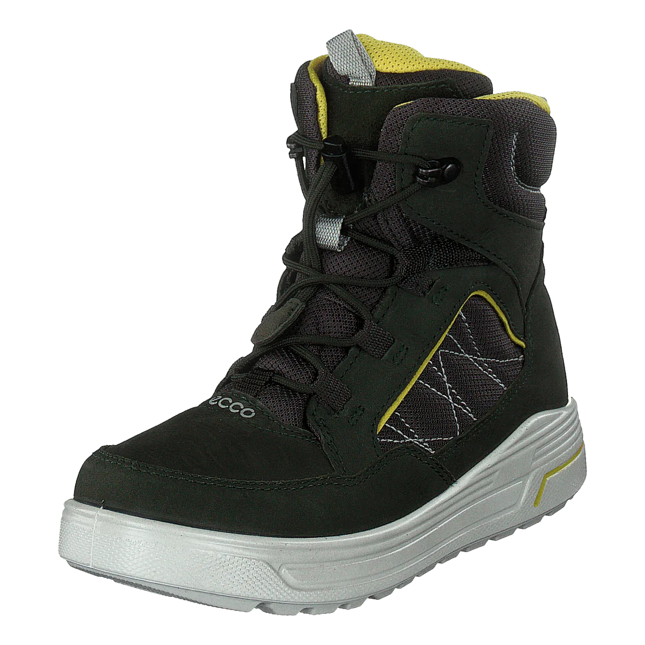 Urban Snowboarder Deep Forest